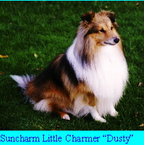 Dusty